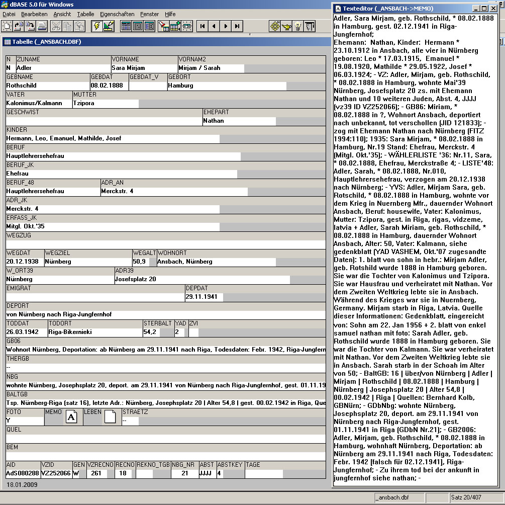 Eingabemaske der Datenbank